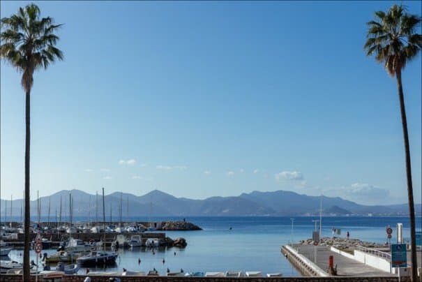 Croisette Palm Beach - 2 pièces de 43m2 avec grande terrasse sur mer