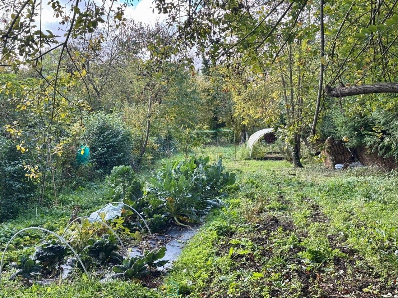 Maison avec dépendance et grand jardin
